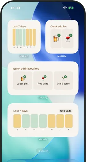 Modraly screenshot: Widgets