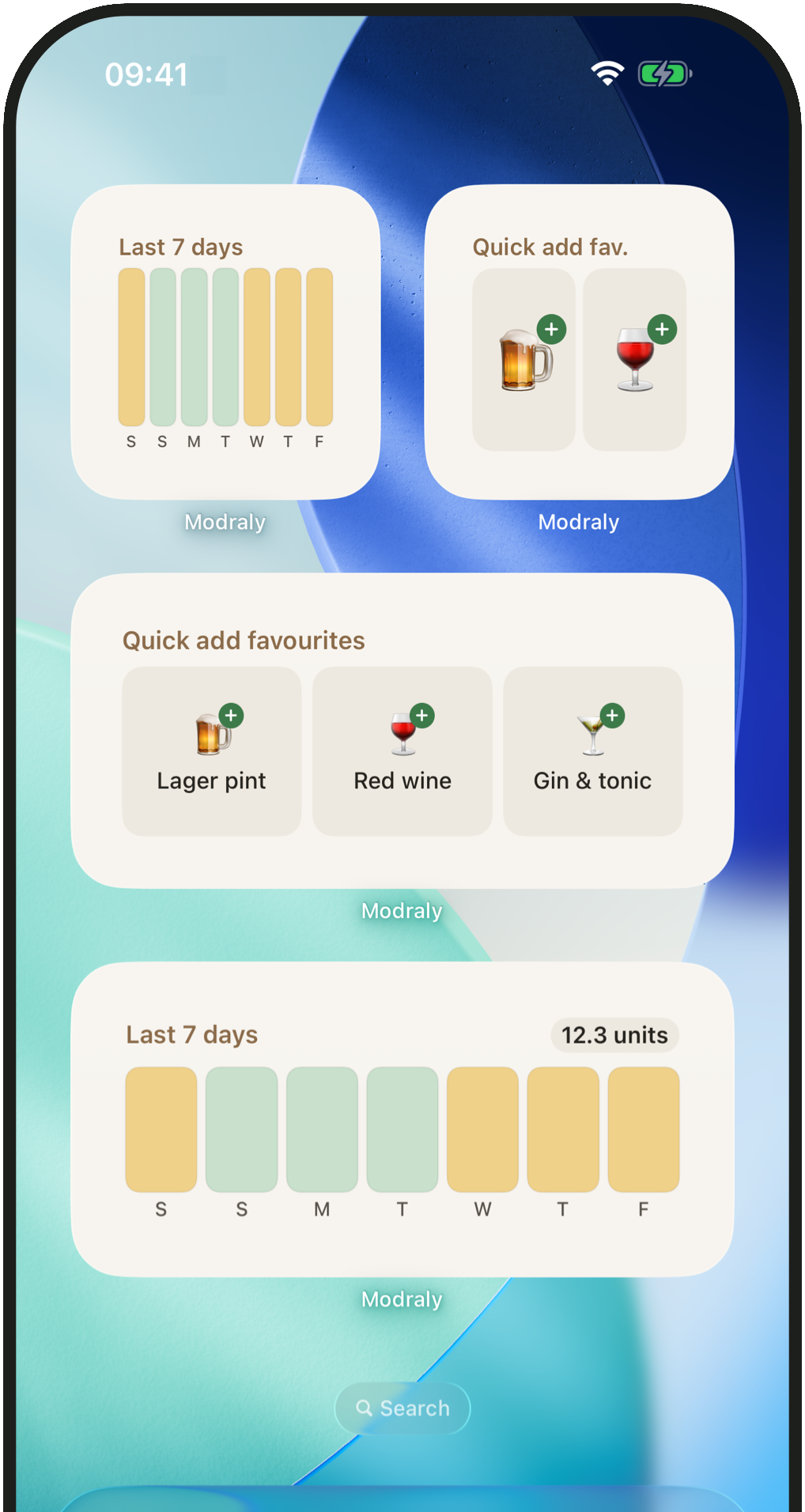 Modraly Home Screen widgets: the last seven days and quick-add favourites